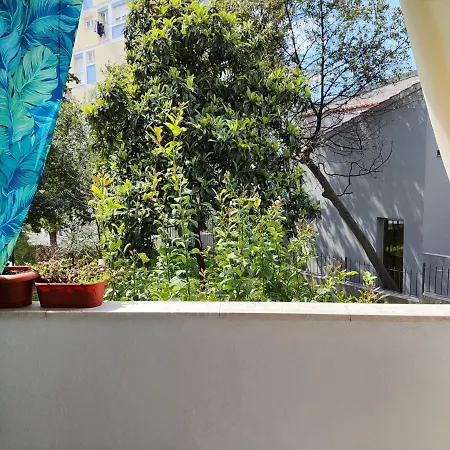 Rio